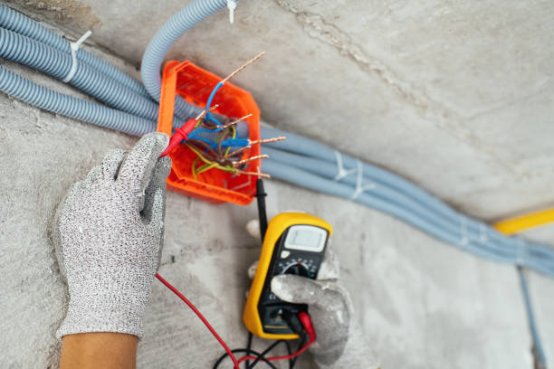 Best Electrician for Home Renovation  in St Louis, MI