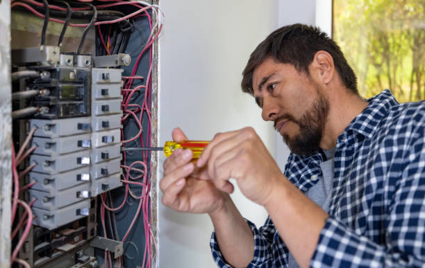 Best Ceiling Fan Installation Electrician  in St Louis, MI